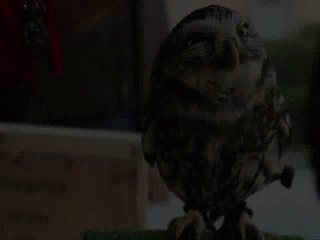 Daily GIFs Mix, part 499