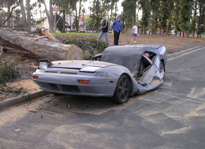 The World's Strangest Automobile Accidents