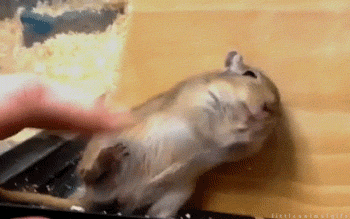 Daily GIFs Mix, part 500