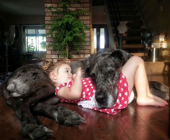 A Dog Is Your Kid's Best Friend