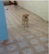 Daily GIFs Mix, part 503