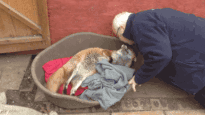 Daily GIFs Mix, part 505