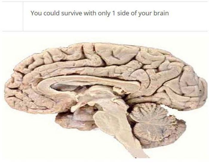 Facts About Your Brain That Might Blow Your Mind