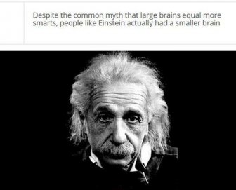 Facts About Your Brain That Might Blow Your Mind