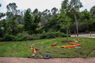 People Destroy Park Looking For Hidden Cash