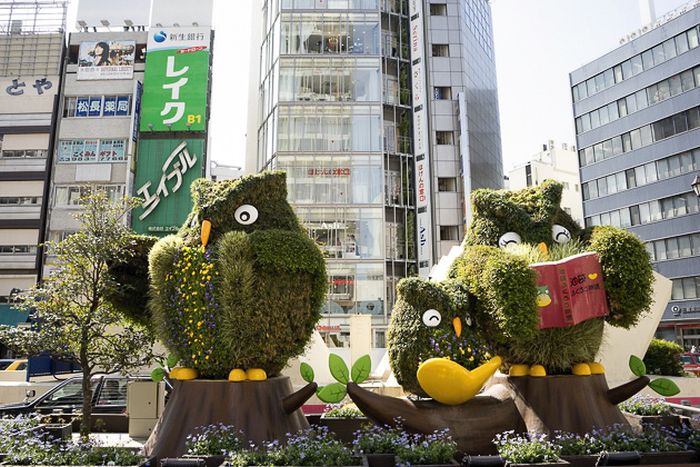 The Cutest Things You Will See In Tokyo