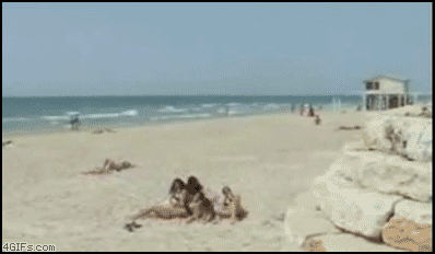 These People Are Doing The Beach Wrong