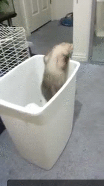 Daily GIFs Mix, part 511