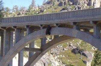 Bear Gets Rescued From A Bridge