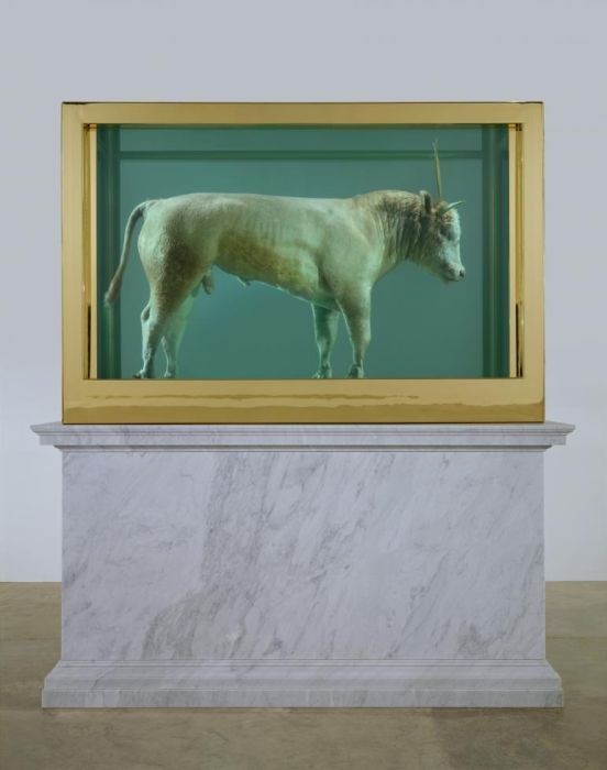 When Damien Hirst Turns Taxidermy Into Art