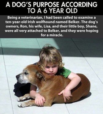 A Dog's Life As Told By A 6 Year Old