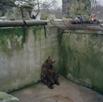 The Most Depressing Zoo Animals Ever