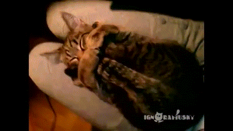Daily GIFs Mix, part 521