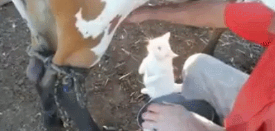 Daily GIFs Mix, part 521
