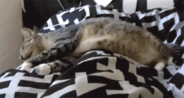 Daily GIFs Mix, part 527