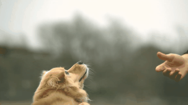 Daily GIFs Mix, part 529