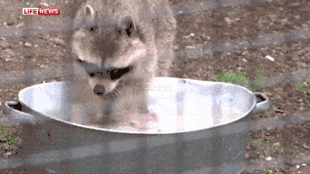Daily GIFs Mix, part 531