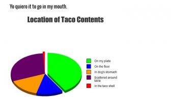 Honest Pie Charts That Explain Everything