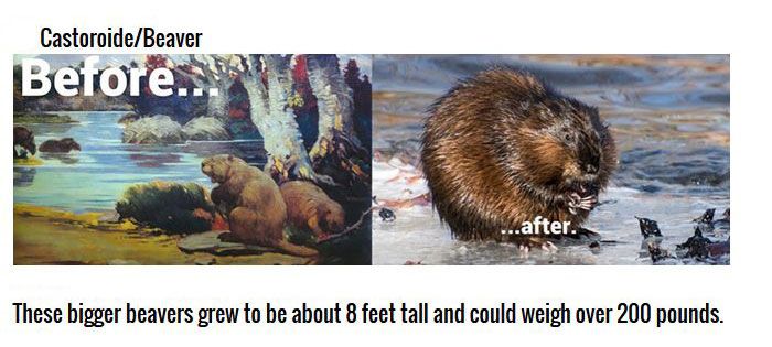 Cute Animals That Were Once Gigantic