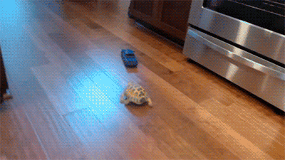 Daily GIFs Mix, part 534