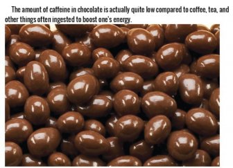 Fascinating Facts That Will Make You Love Chocolate