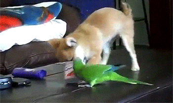 Daily GIFs Mix, part 540
