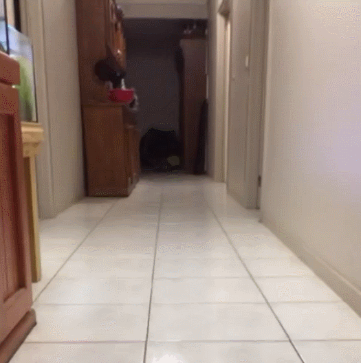 Daily GIFs Mix, part 541