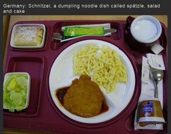 What Hospital Food Is Like Around The World