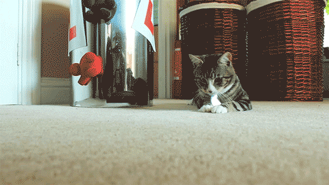Daily GIFs Mix, part 543