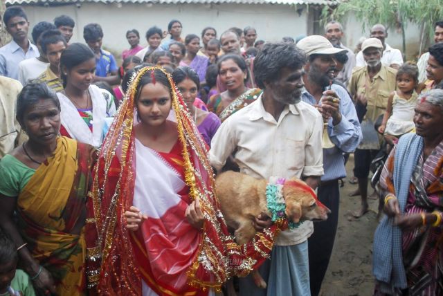 Indian Girl Marries a Dog