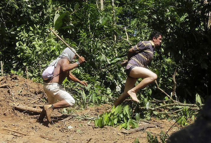Citizens Of The Amazon Jungle Go To War With Loggers