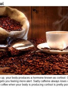 16 Things You Didn't Know About Coffee