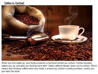 16 Things You Didn't Know About Coffee