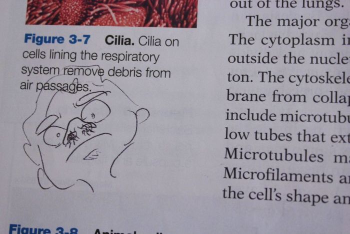Hilarious Drawings Make Text Books Better