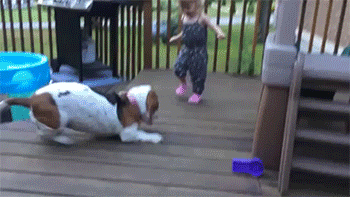 Daily GIFs Mix, part 549