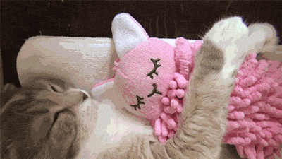 Daily GIFs Mix, part 550