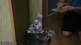 Daily GIFs Mix, part 550