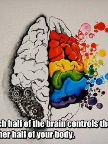 Facts You Didn't Know About Your Brain