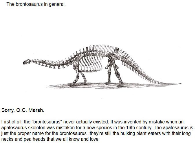 Myths About Dinosaurs Get Mythbusted