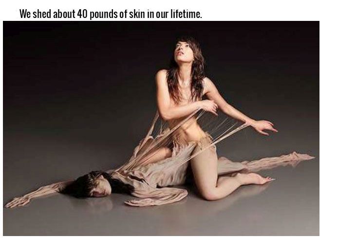Incredible Facts About The Human Body