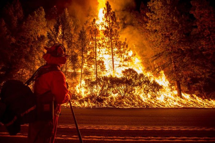 Powerful Pictures Of The California Wildfires 