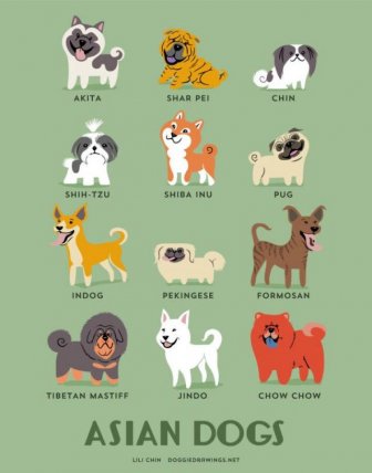 What Nationality Is Your Dog?