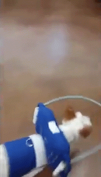 Daily GIFs Mix, part 561