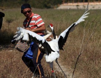 Photographer Gets Into A Fight With A Crane