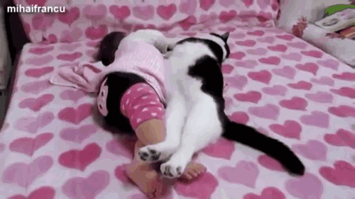Daily GIFs Mix, part 562