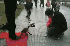 Daily GIFs Mix, part 563
