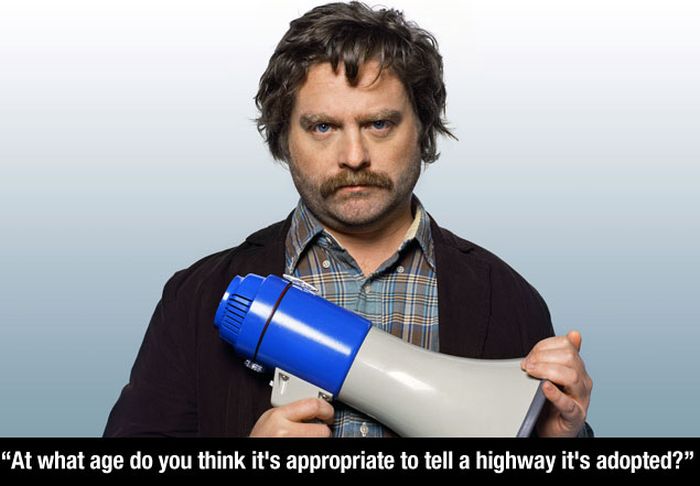 Hilarious And Genious Quotes From Zach Galifianakis