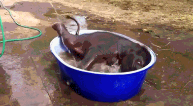 Daily GIFs Mix, part 565
