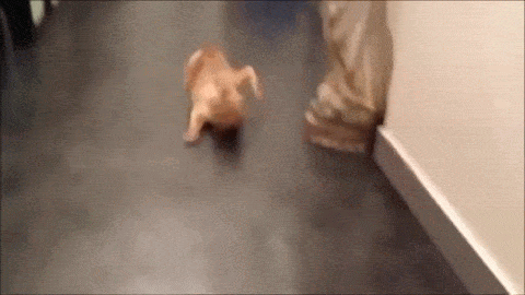 Daily GIFs Mix, part 565