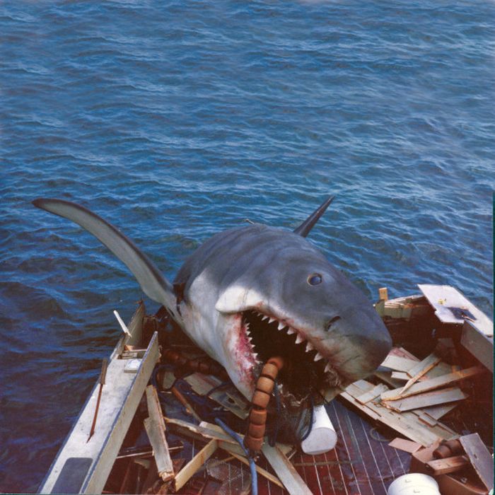 Get A Look Behind The Scenes Of Jaws With These Rare Photos